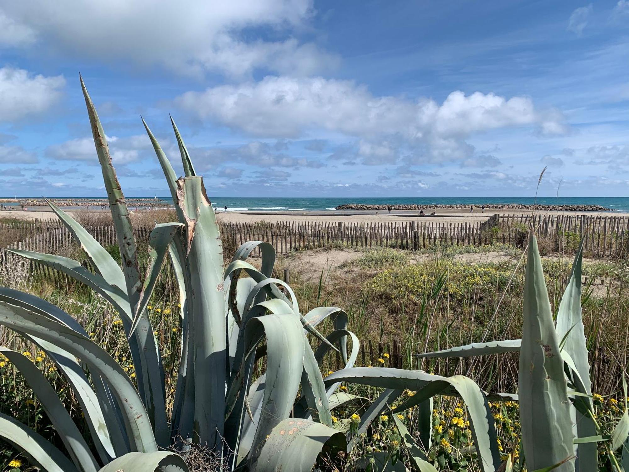 Sete - Vue Mer Imprenable, Piscine, Calme Bagian luar foto